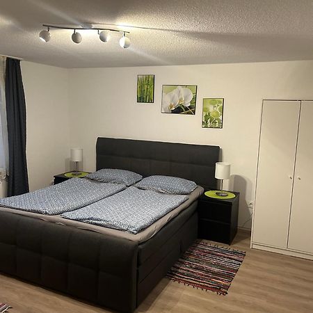 Ferienhaus Ayna, Direkt An Der Schweizer Grenze Bad Säckingen Exteriér fotografie