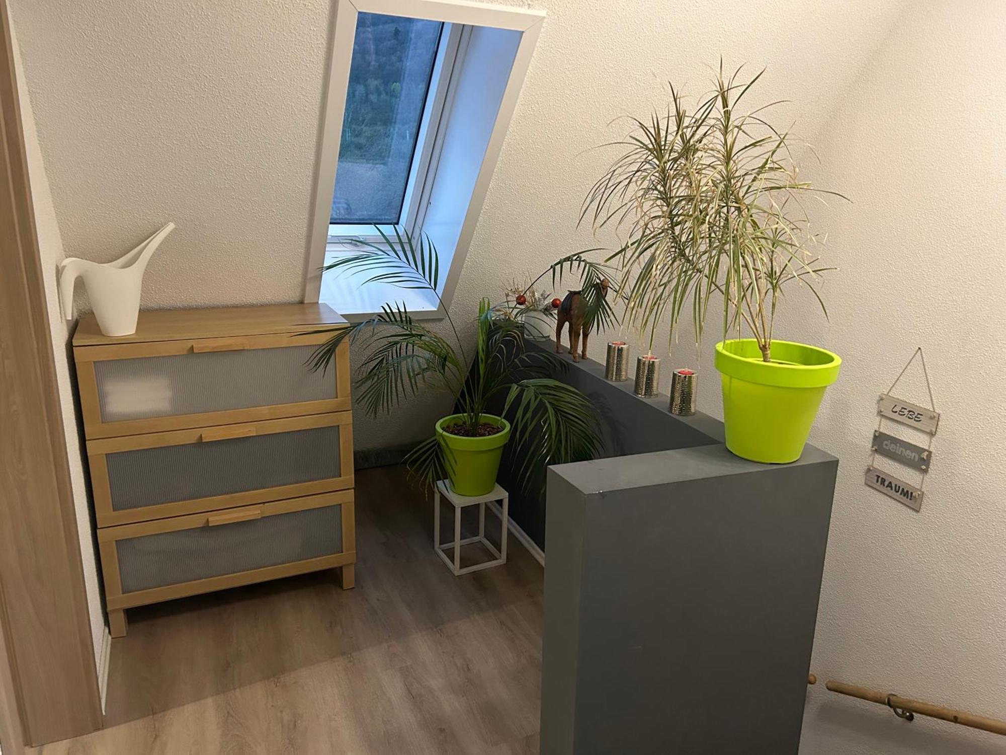 Ferienhaus Ayna, Direkt An Der Schweizer Grenze Bad Säckingen Exteriér fotografie